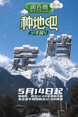 摆摊后，全城大哥都来给我打下手